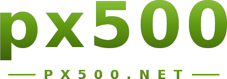 px500 logo